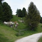 Sulla via del ritorno